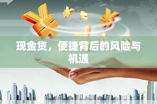 会东现金贷，便捷背后的风险与机遇