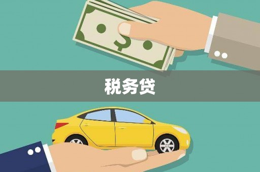 会东税务贷