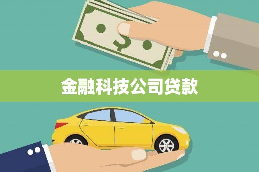 会东金融科技公司贷款