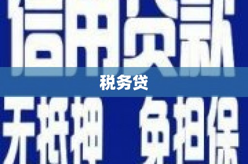 会东税务贷