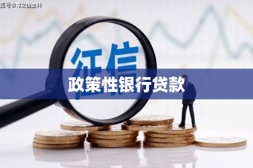 会东政策性银行贷款