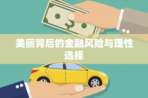 会东美丽背后的金融风险与理性选择