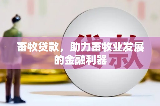 会东畜牧贷款，助力畜牧业发展的金融利器
