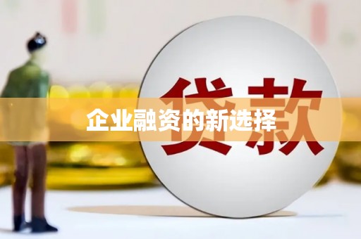 会东企业融资的新选择