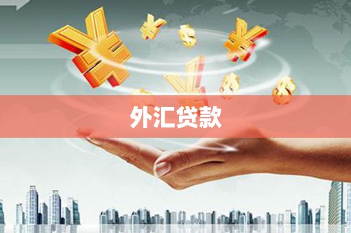 会东外汇贷款