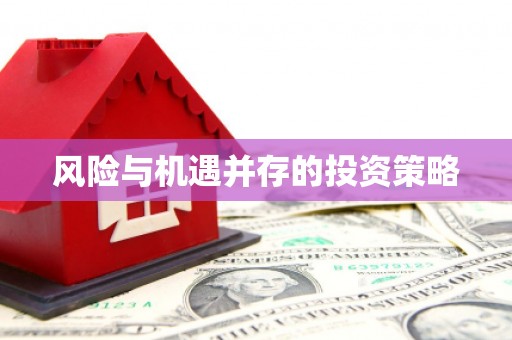 会东风险与机遇并存的投资策略