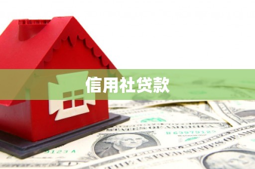 会东信用社贷款