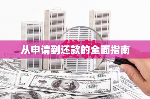 会东从申请到还款的全面指南