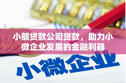 会东小额贷款公司贷款，助力小微企业发展的金融利器