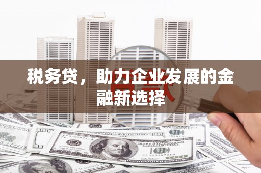 会东税务贷，助力企业发展的金融新选择