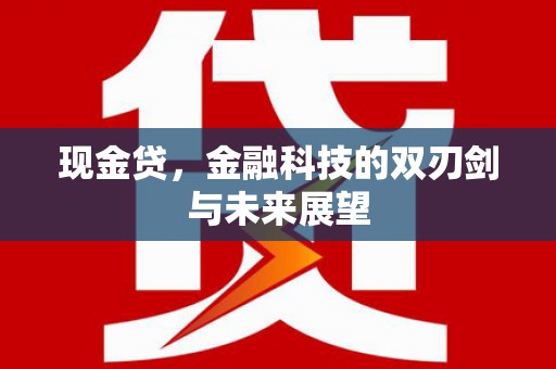 会东现金贷，金融科技的双刃剑与未来展望