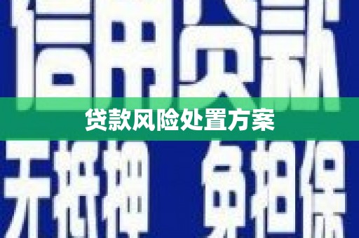 会东贷款风险处置方案