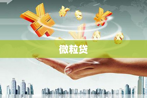 会东微粒贷
