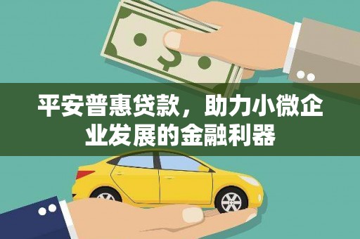 会东平安普惠贷款，助力小微企业发展的金融利器