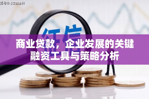 会东商业贷款，企业发展的关键融资工具与策略分析