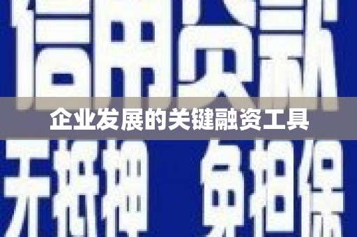 会东企业发展的关键融资工具