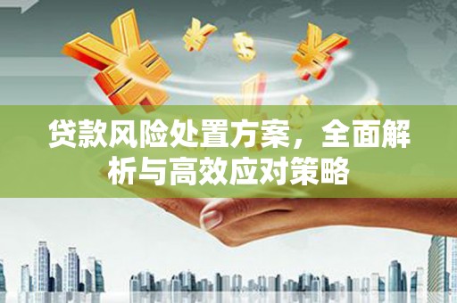 会东贷款风险处置方案，全面解析与高效应对策略