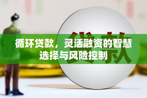 会东循环贷款，灵活融资的智慧选择与风险控制