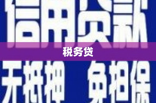 会东税务贷