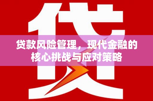 会东贷款风险管理，现代金融的核心挑战与应对策略