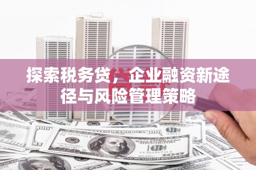 会东探索税务贷，企业融资新途径与风险管理策略