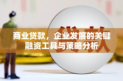 会东商业贷款，企业发展的关键融资工具与策略分析