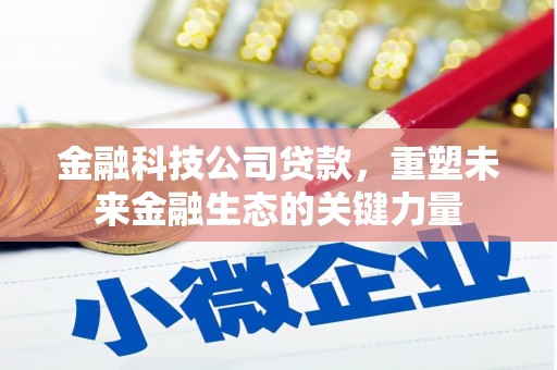 会东金融科技公司贷款，重塑未来金融生态的关键力量