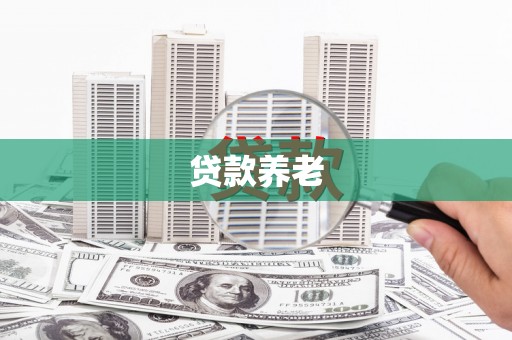 会东贷款养老