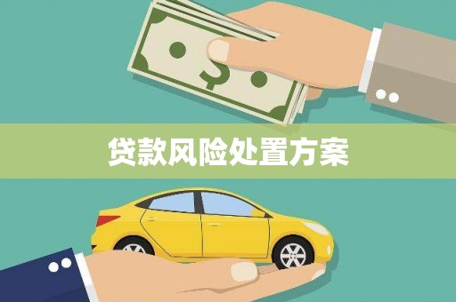 会东贷款风险处置方案