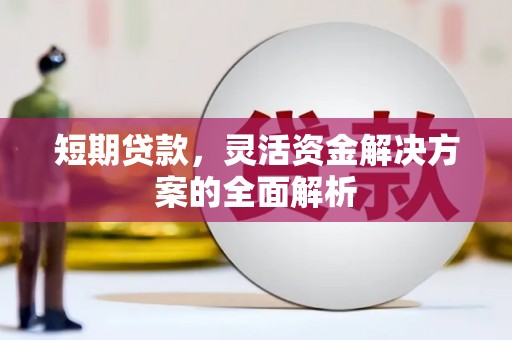 会东短期贷款，灵活资金解决方案的全面解析