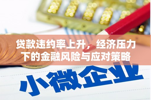 会东贷款违约率上升，经济压力下的金融风险与应对策略