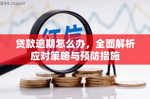 会东贷款逾期怎么办，全面解析应对策略与预防措施