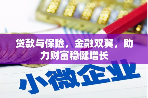 会东贷款与保险，金融双翼，助力财富稳健增长
