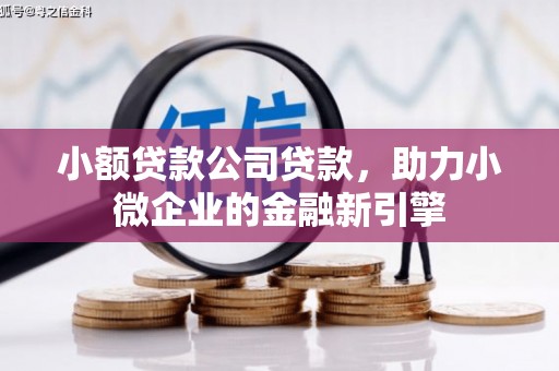 会东小额贷款公司贷款，助力小微企业的金融新引擎