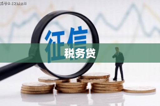 会东税务贷
