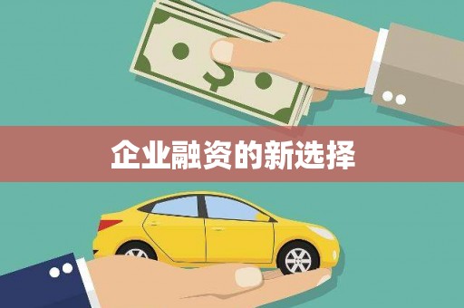 会东企业融资的新选择