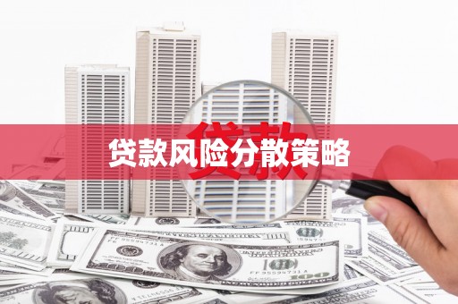 会东贷款风险分散策略