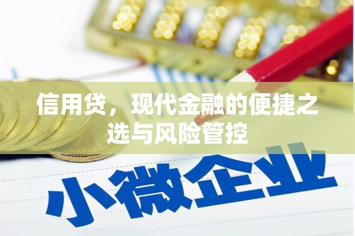 会东信用贷，现代金融的便捷之选与风险管控