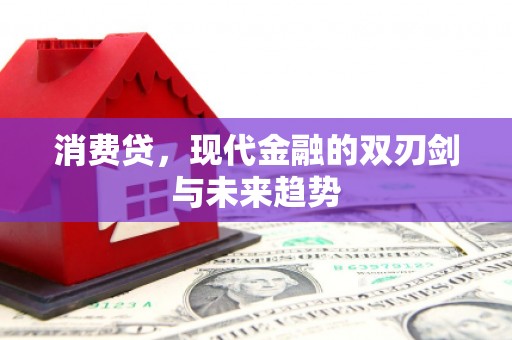 会东消费贷，现代金融的双刃剑与未来趋势