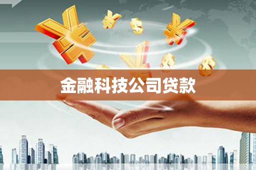 会东金融科技公司贷款