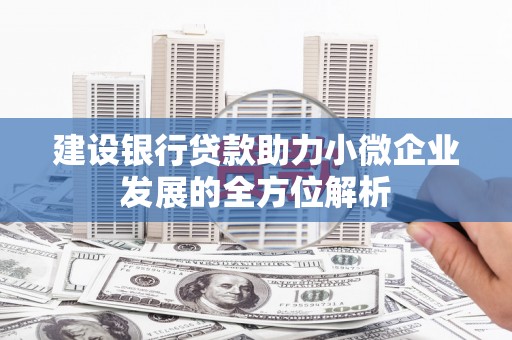 会东建设银行贷款助力小微企业发展的全方位解析