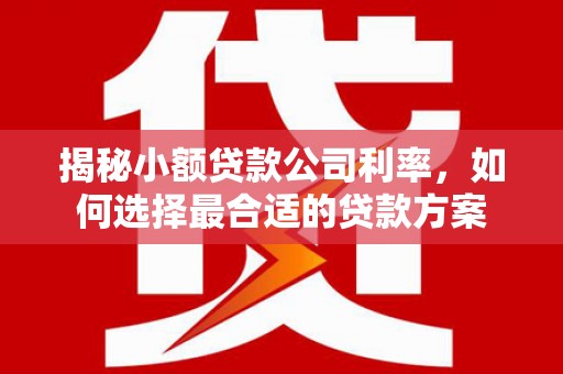 会东揭秘小额贷款公司利率，如何选择最合适的贷款方案