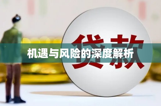会东机遇与风险的深度解析