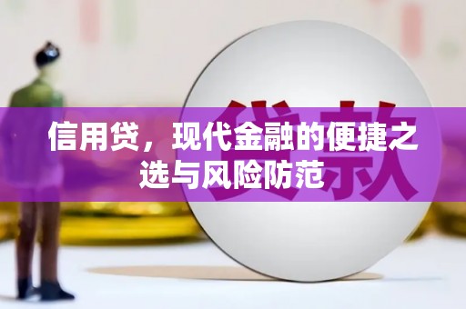 会东信用贷，现代金融的便捷之选与风险防范