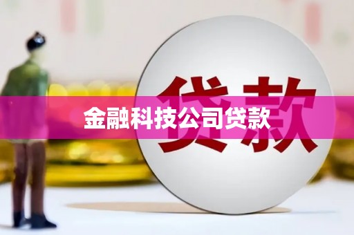 会东金融科技公司贷款