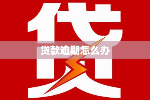 会东贷款逾期怎么办
