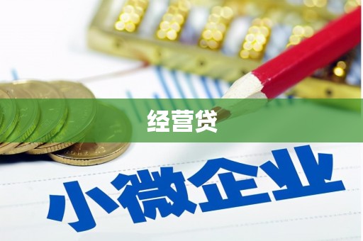 会东经营贷