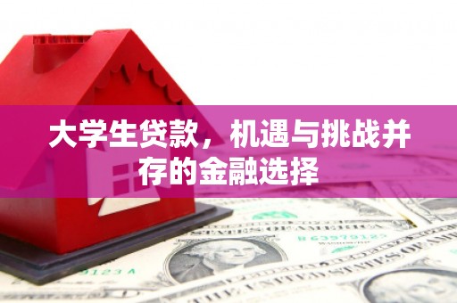 会东大学生贷款，机遇与挑战并存的金融选择