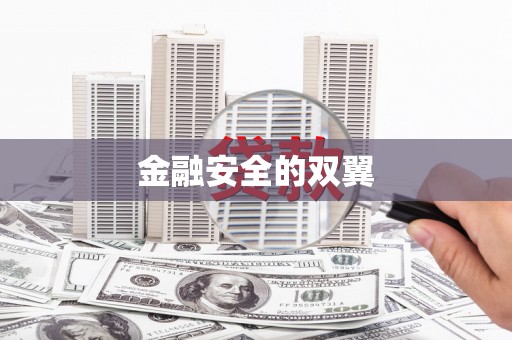 会东金融安全的双翼
