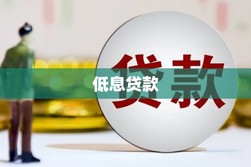 会东低息贷款